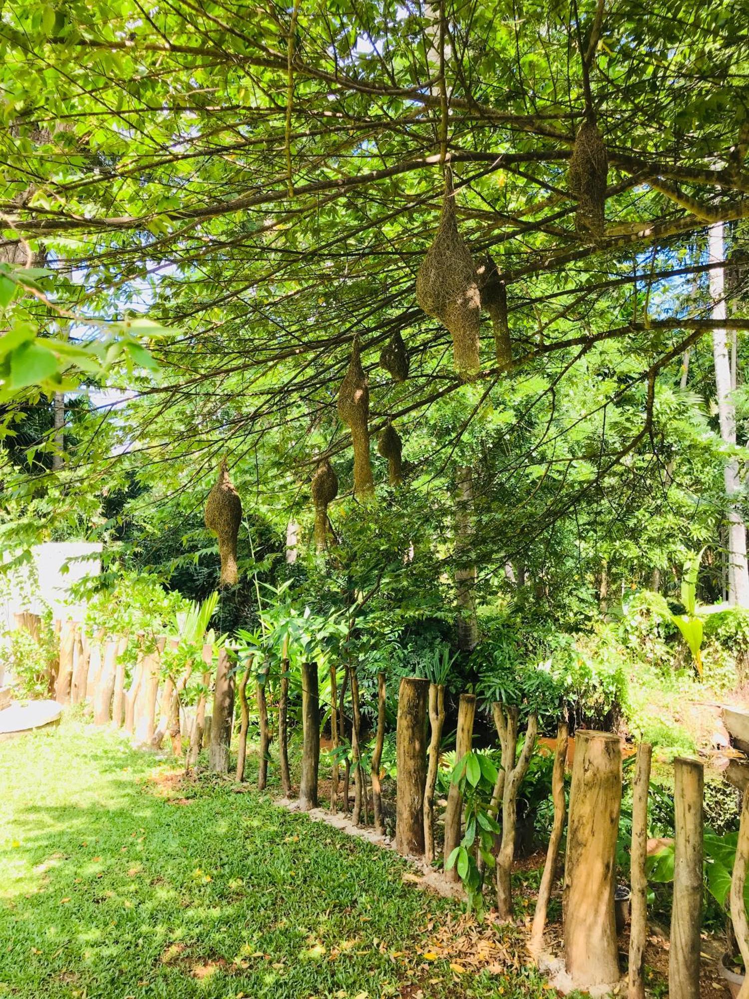 Ruwinsons Canal Garden Anuradhapura Kültér fotó
